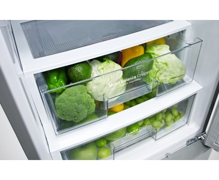 LG Combina Frigorifica, GBF530NSQPB, thumbnail 6