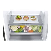 LG Combină frigorifică | Clasa E | 336 L | Total No Frost | Compresor Smart Inverter 10 ani Garanție | Door Cooling | ThinQ™ | Gri metalizat, Top View with food, GBF71PZDMN, thumbnail 5
