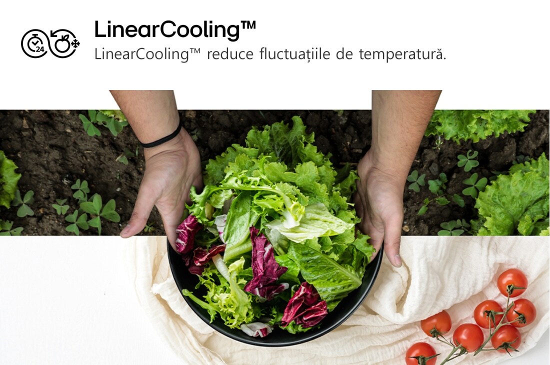 LG Frigider LG cu InstaView™, 349L, Compresor Smart Inverter, Wi-Fi, DoorCooling+™, GBG7190CEV, thumbnail 15