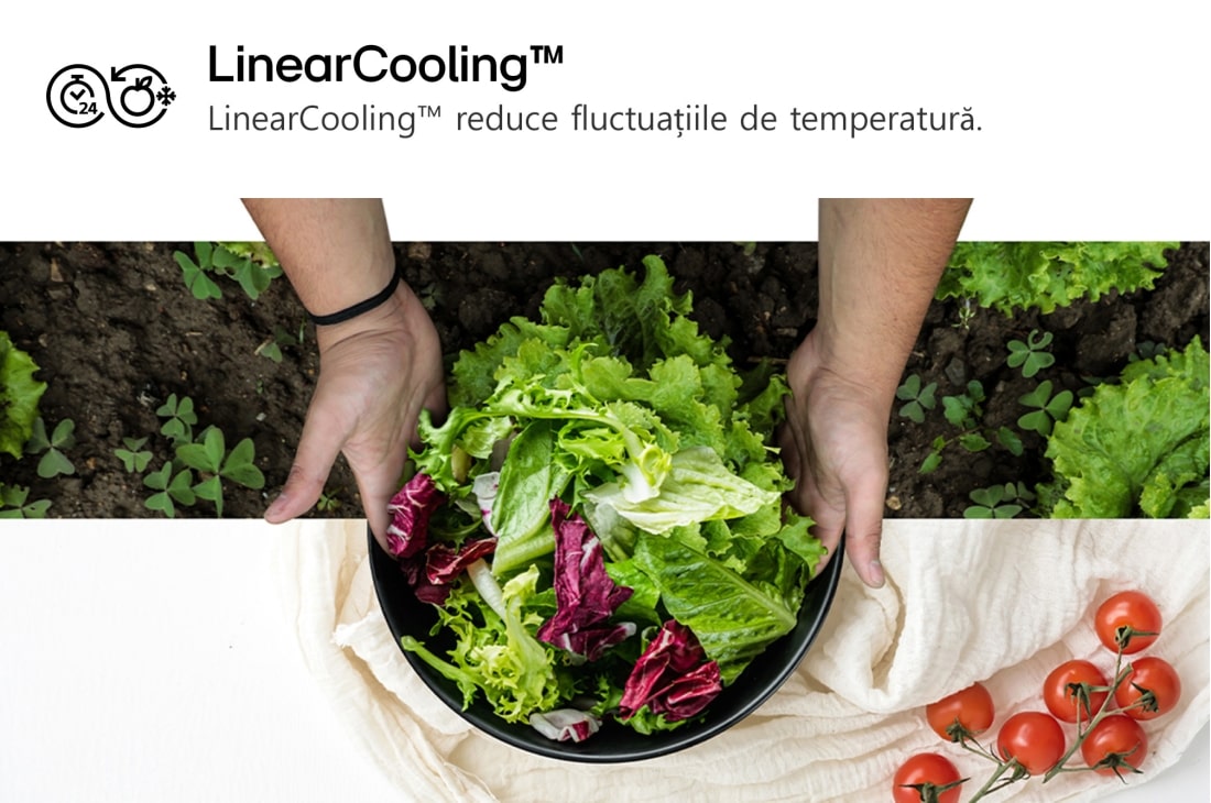 LG Side by Side LG, No Frost, 664 L, Compresor Smart Inverter, LINEARCooling™, GSBC40PYPE, thumbnail 14