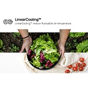 LG Combină Frigorifică LG, 387L, Door Cooling, Compresor Smart Inverter, Wi-Fi , RightSide view, GBV3210DPY, thumbnail 14