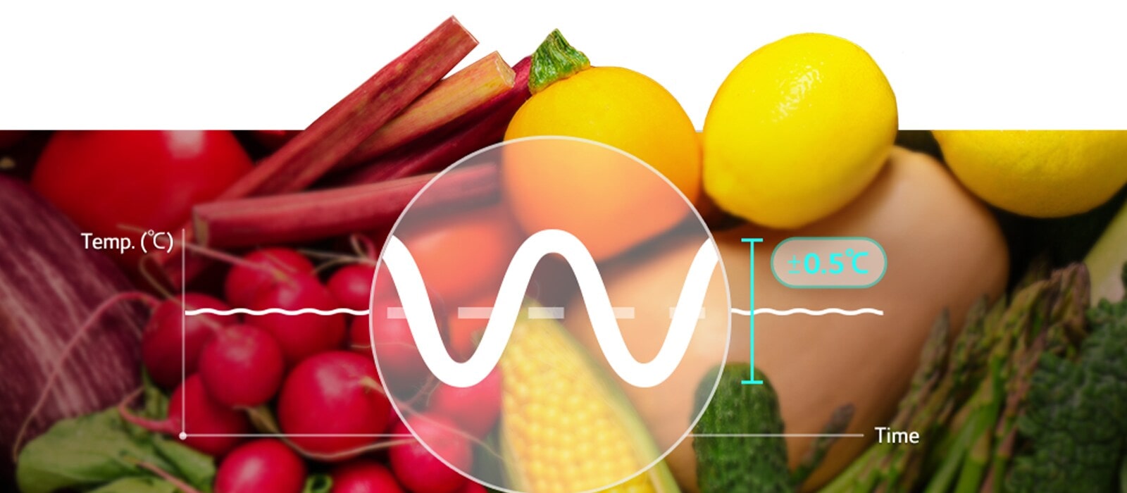 Există un grafic în partea de sus a diferitelor legume. .