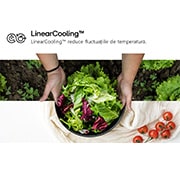 LG Combină Frigorifică LG, 387L, No Frost, LinearCooling™, Wi-Fi, Linear Cooling Combine, GBV5250EPY, thumbnail 16