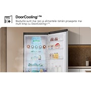 LG Combină Frigorifică LG, 387L, No Frost, LinearCooling™, Wi-Fi, door coooling combine, GBV5250EPY, thumbnail 17
