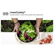 LG Combină Frigorifică LG, 344L, No Frost, Compresor Smart Inverter™, LinearCooling™, Wi-Fi, Linear Cooling Combine, GBV3110EPY, thumbnail 16