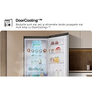 LG Combină Frigorifică LG, 387L, No Frost, Compresor Smart Inverter, DoorCooling+™, Wi-Fi, door cooling, GBV5250DPY, thumbnail 15