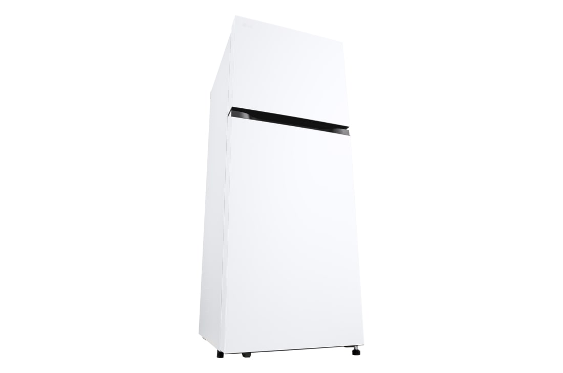 LG Frigider LG, 266L, No Frost, Compresor Smart Inverter, Door Cooling+, GTBV22SWNJ, thumbnail 6