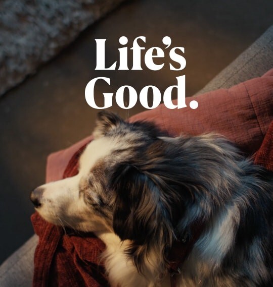 Tu îți faci viața mai frumoasă2