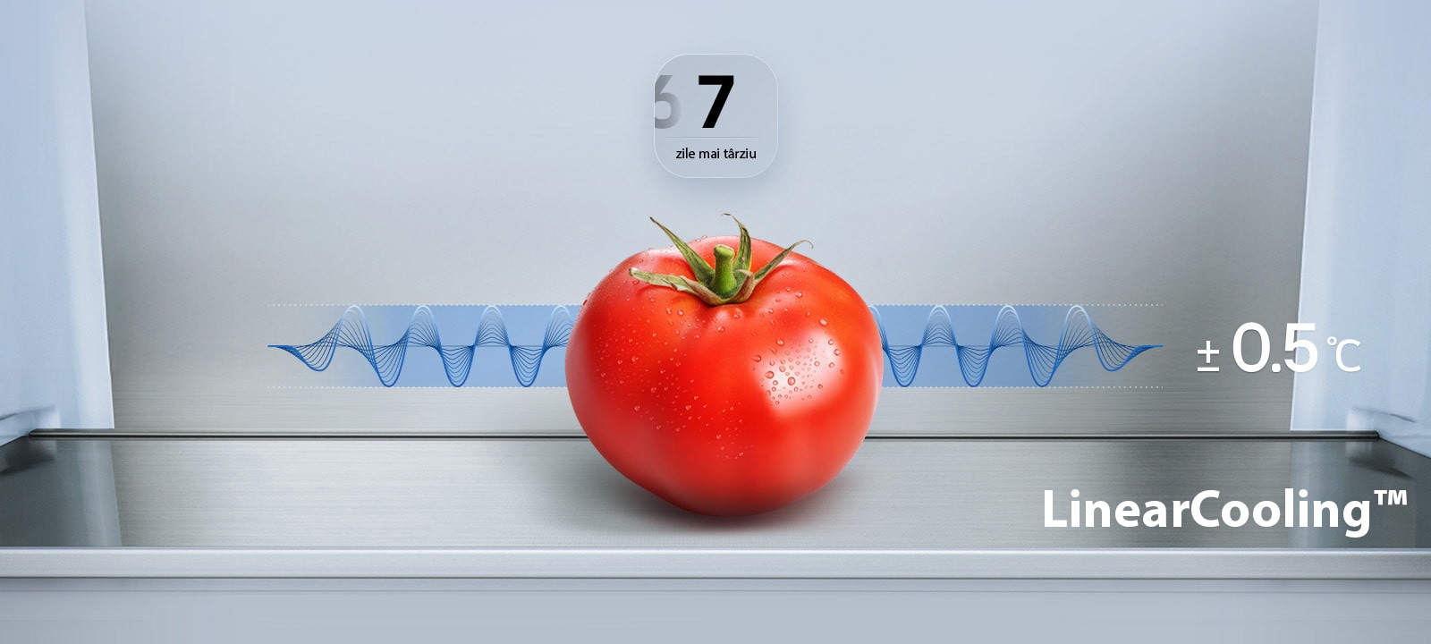 Prospețime maximă/ro/images/bottom-freezer-f-ub5-2025-gbbs726cpy-feature-linearcooling-d-gp1.jpg%20copy%202.jpg