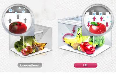 Compartiment MOIST BALANCED