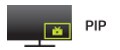 PIP