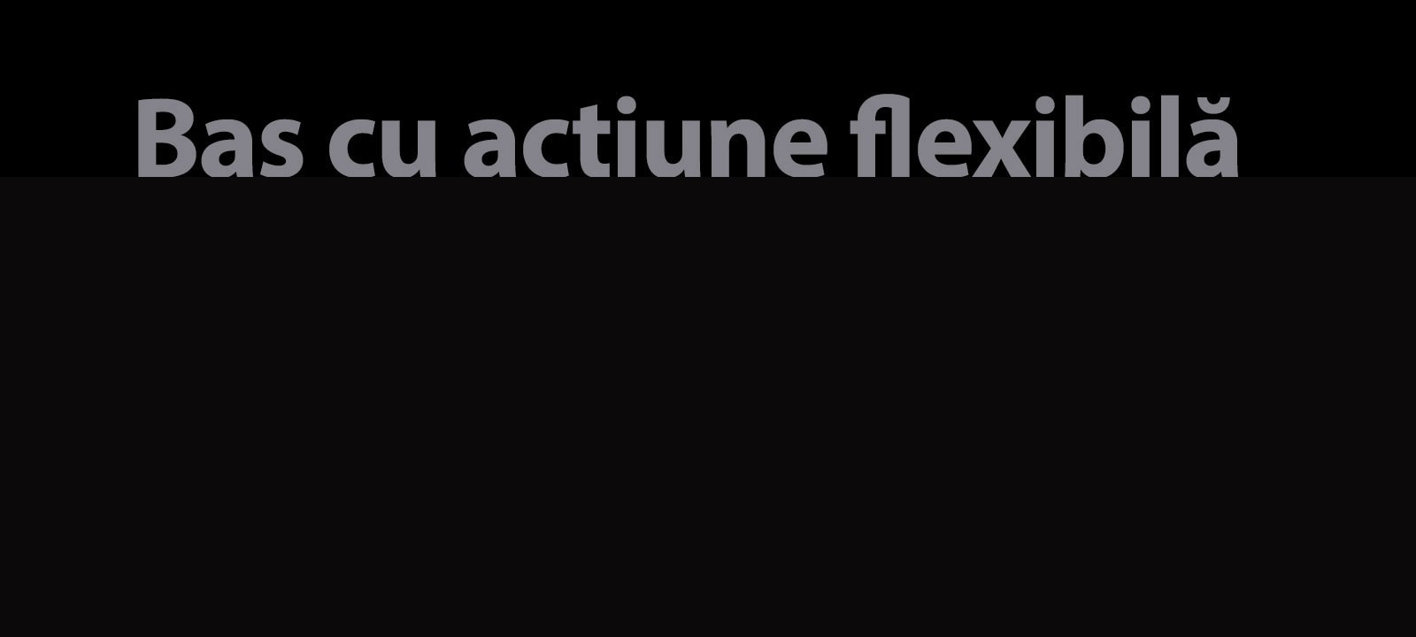 The copy "Flex Action Bass"