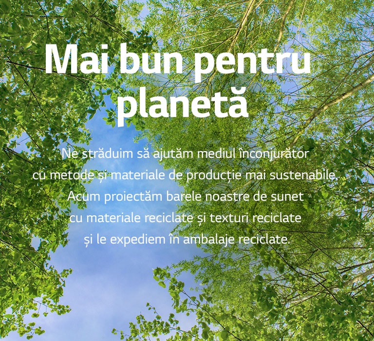 Una imagen verde llena de ricos árboles frondosos y un cielo se muestra en el medio