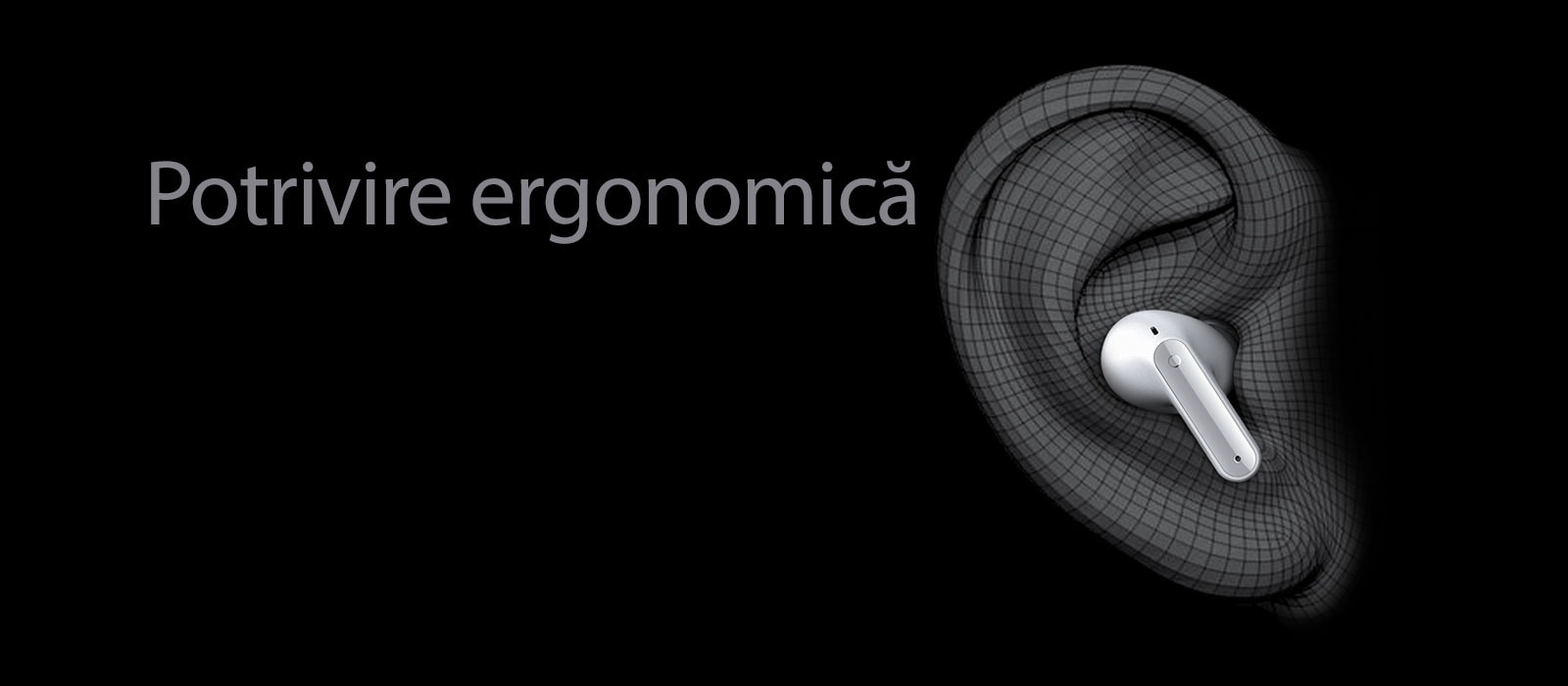 Design în formă de conca