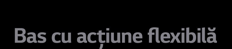 Copia „Bas cu acțiune flexibilă”