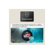 LG Mașină de spălat, 9 kg, Inverter Direct Drive AI DD, TurboWash360˚, Steam+, F4X9009TWCE, thumbnail 14