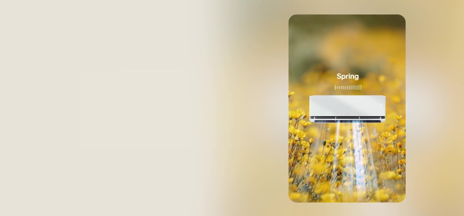 Împrospătează atmosfera cu tonuri sezoniere5