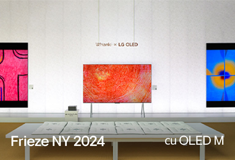 Operă de artă afișată pe un OLED M.
