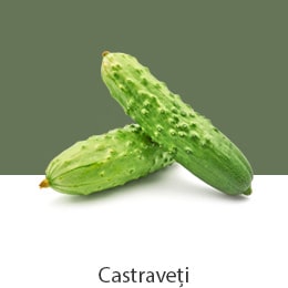 01_REF-NatureFRESH-Vplus-03-UsefulTips-04-5-Cucumbers