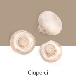 01_REF-NatureFRESH-Vplus-03-UsefulTips-04-9-Mushrooms