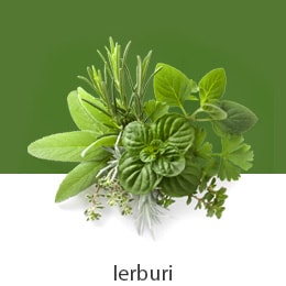 02_REF-NatureFRESH-Vplus-03-UsefulTips-04-6-Herbs