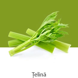 03_REF-NatureFRESH-Vplus-03-UsefulTips-04-7-Celery