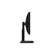 LG Monitor 23.8 ''| IPS Screen | Read Mode | Flicker Safe, 24MB37PM-B, thumbnail 8