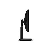 LG 24 ''Monitor | IPS Screen | Full HD | Playback Mode | Flicker Safe, 24MB37PY, thumbnail 8