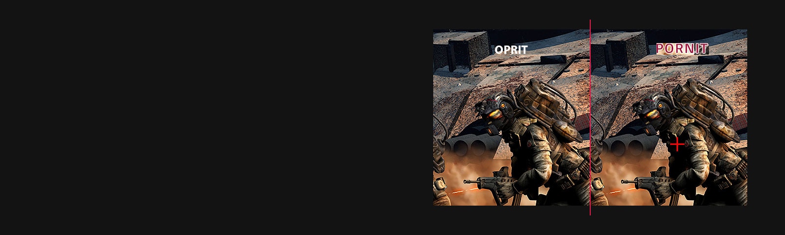 Reticul: OPRIT VS. PORNIT