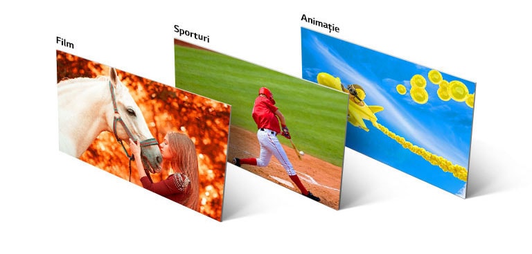 Trei imagini, una care arată o fată sărutând un cal, a doua un jucător de baseball lovind o minge, iar a treia un avion animat care zboară pe cer.