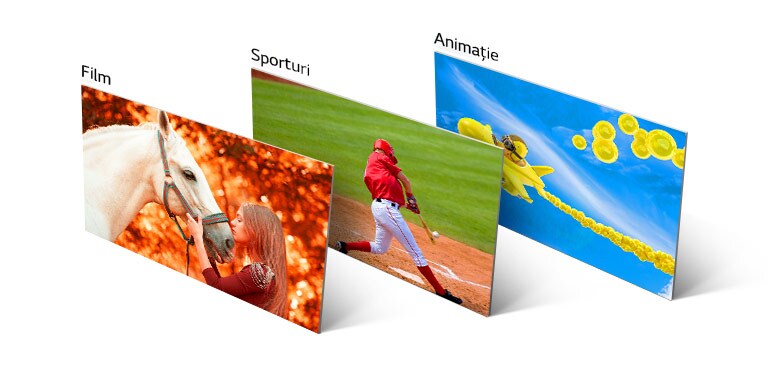 Trei imagini, una care arată o fată sărutând un cal, a doua un jucător de baseball lovind o minge, iar a treia un avion animat care zboară pe cer.