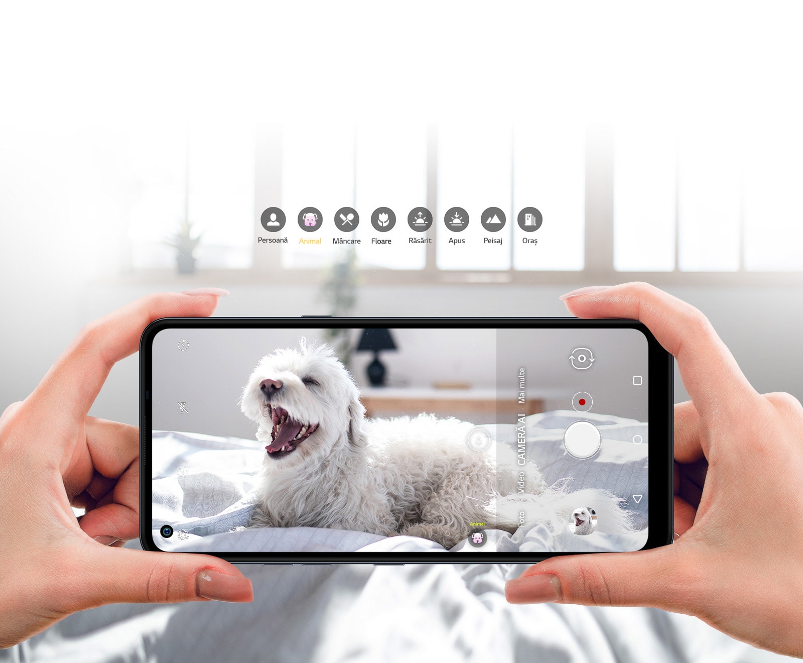 O persoană care ține un smartphone și fotografiază un câine de aproape