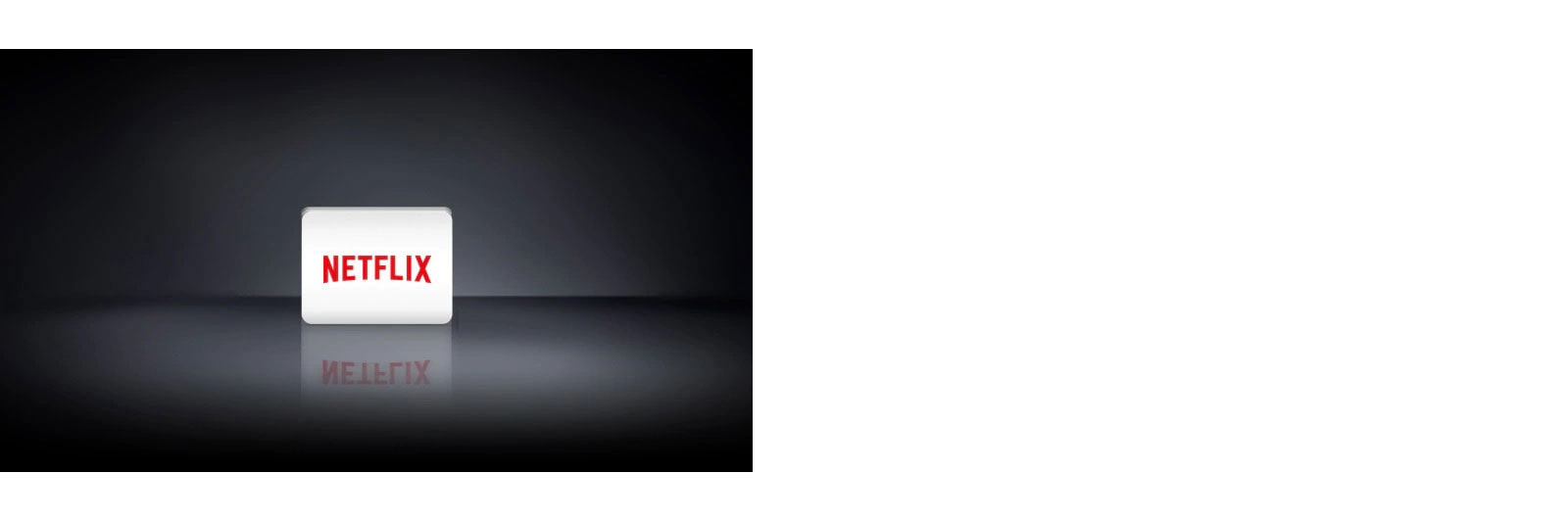 Două sigle: Netflix