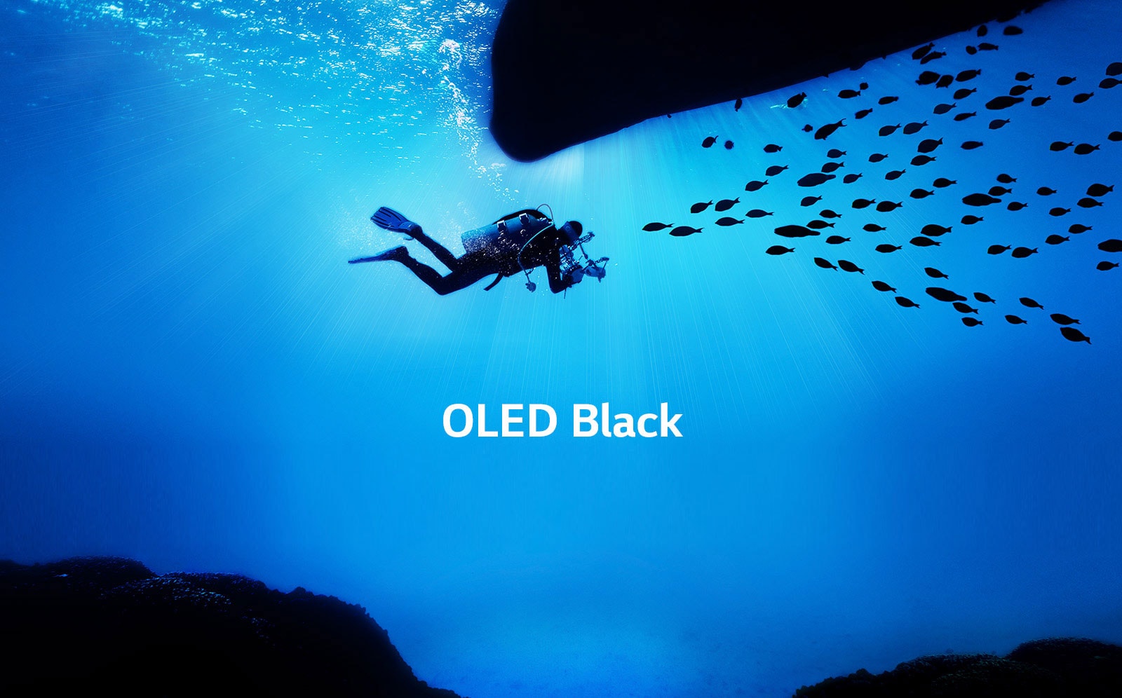 Aduce imaginile la viață1