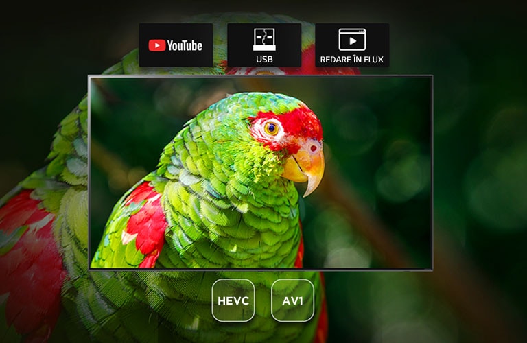 Ecran TV care prezintă un documentar despre papagalul verde cu pictogramele pentru Youtube, USB și redare în flux