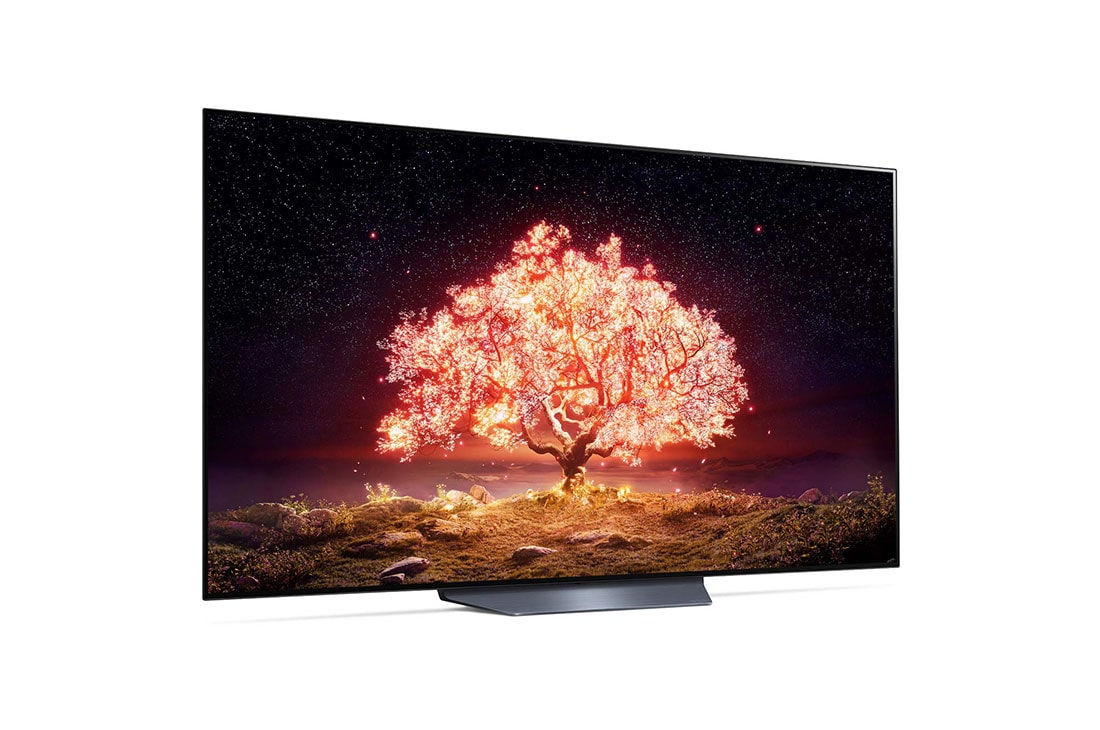 LG OLED LG B1 | 65 inch | Dolby Vision IQ & Dolby Atmos | ThinQ AI | 4K Smart OLED TV, interior view, OLED65B13LA, thumbnail 6