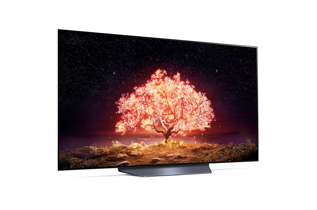 LG OLED LG B1 | 55 inch | Dolby Vision IQ & Dolby Atmos | ThinQ AI | 4K Smart OLED TV, interior view, OLED55B13LA, thumbnail 6