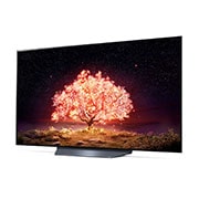 LG OLED LG B1 | 55 inch | Dolby Vision IQ & Dolby Atmos | ThinQ AI | 4K Smart OLED TV, -15 degree side view, OLED55B13LA, thumbnail 2