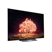 LG OLED LG B1 | 55 inch | Dolby Vision IQ & Dolby Atmos | ThinQ AI | 4K Smart OLED TV, view of opened Knock on Magic space, OLED55B13LA, thumbnail 5