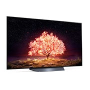 LG OLED LG B1 | 55 inch | Dolby Vision IQ & Dolby Atmos | ThinQ AI | 4K Smart OLED TV, interior view, OLED55B13LA, thumbnail 6
