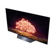 LG OLED LG B1 | 55 inch | Dolby Vision IQ & Dolby Atmos | ThinQ AI | 4K Smart OLED TV, close-up view of miniwash door, OLED55B13LA, thumbnail 8