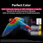 LG OLED evo AI C5 de 65 inch, 4K Smart TV, 2025, OLED65C51LA, thumbnail 10