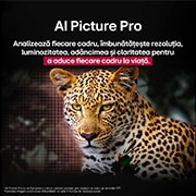 LG OLED B5 AI de 65 inch, 4K Smart TV, 2025, LG AI Magic Remote cu buton AI evidențiat. În jurul lui sunt diferite funcționalități pe care un utilizator le poate accesa de la buton. AI Voice ID, AI Search, AI Chatbot, AI Concierge, AI Picture Wi, OLED65B53LA, thumbnail 11