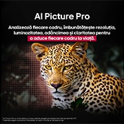 LG OLED AI B5 4K Smart TV 2025 48 inch, LG AI Magic Remote cu buton AI evidențiat. În jurul lui sunt diferite funcționalități pe care un utilizator le poate accesa de la buton. AI Voice ID, AI Search, AI Chatbot, AI Concierge, AI Picture Wi, OLED48B53LA, thumbnail 11