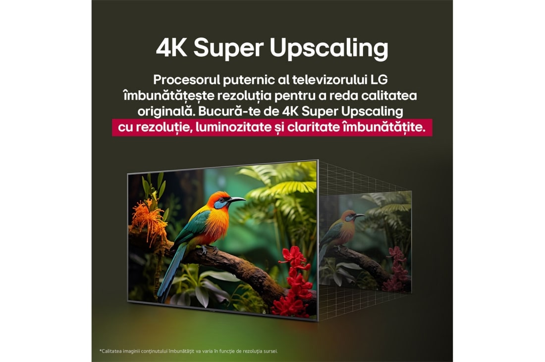 LG 86 Inch LG QNED AI QNED7E 4K Smart TV 2025, Comparație înainte și după a modului în care LG 4K Super Upscaling îmbunătățește calitatea imaginii. Două panouri arată aceeași imagine a unei păsări colorate care stă pe o ramură în pădure, panoul di, 86QNED7EA6B, thumbnail 9