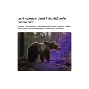 LG 43 inch LG SMART TV AI LB65 2026, 43LB65003LA, thumbnail 7