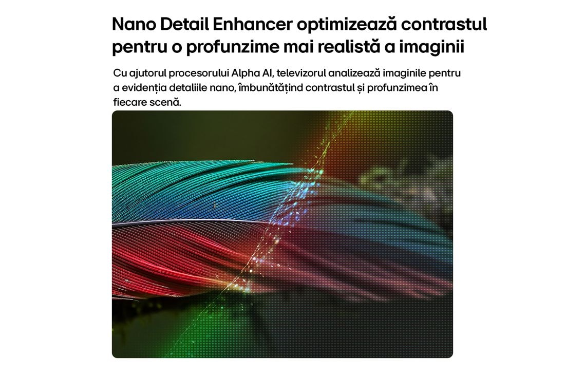 LG 98 inch LG NANO 4K UHD AI NU90 Smart TV 2026, lifestyle view, 98NU900B6LB, thumbnail 7