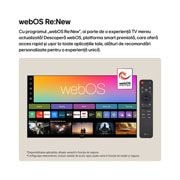LG 98 inch LG NANO 4K UHD AI NU90 Smart TV 2026, lifestyle view, 98NU900B6LB, thumbnail 4