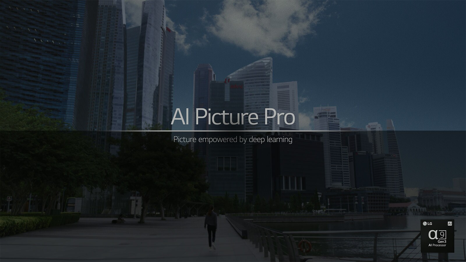 Previzualizare video a  AI Picture Pro