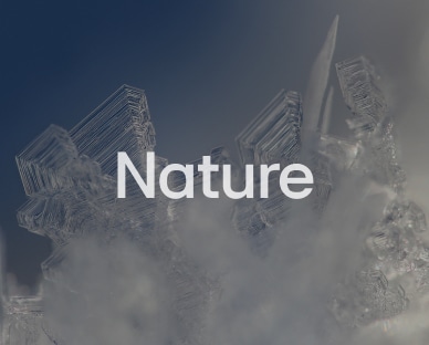 Cover screen_Nature